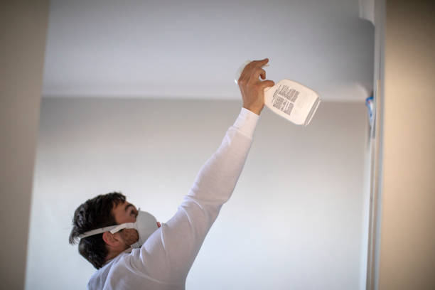 Best Mold Testing and Removal  in Del Rio, TX