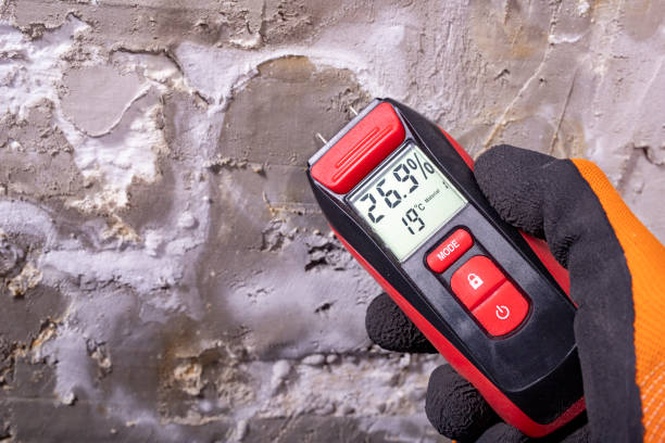 Best Mold Removal Company Near Me  in Del Rio, TX