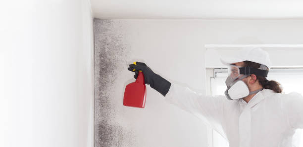 Best Professional Mold Removal  in Del Rio, TX