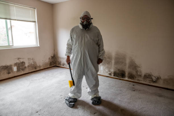 Best Mold Testing  in Del Rio, TX